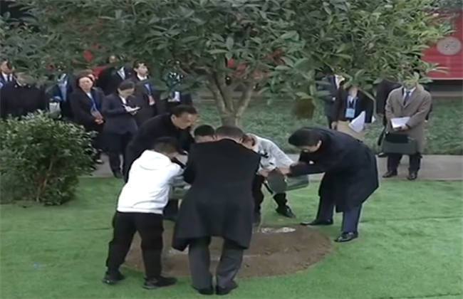 副本：义体置换