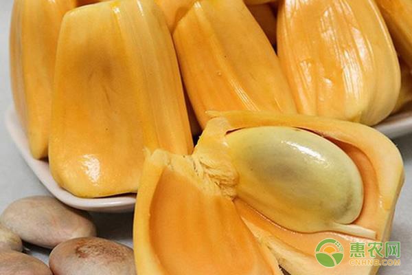 别叫我赌神粤语版