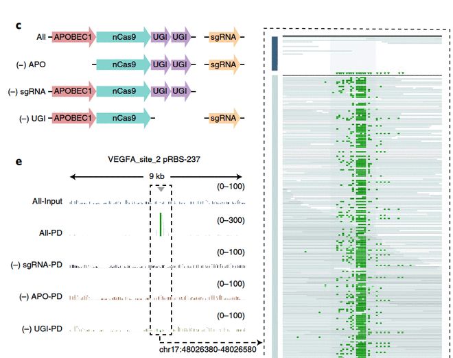 功夫四侠：勇闯地宫