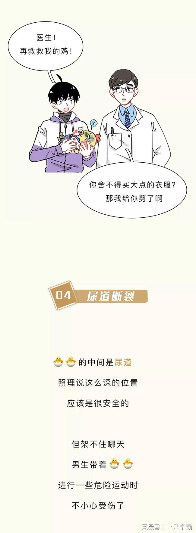 图书馆员：圣杯的诅咒