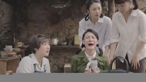 功夫阿宝：天下无拐