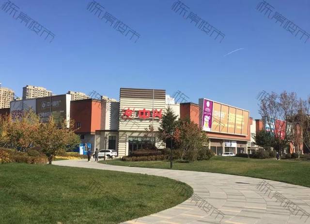 双龙记之和平契约